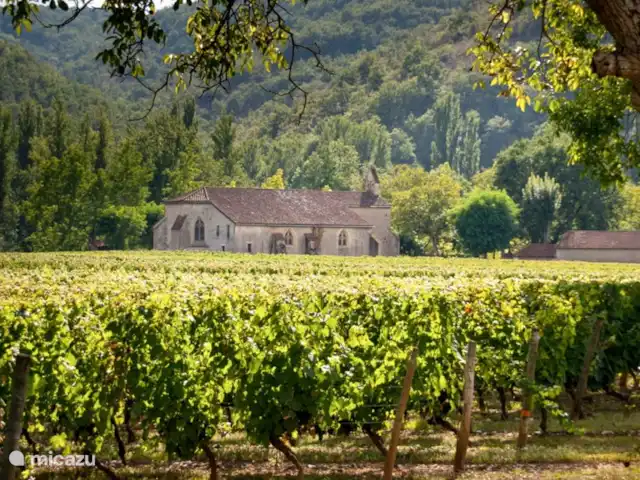 L’ancienne ferme de Goth | France, Lot, Serignac - maison de vacances Un des plus beaux vignobles de la région.