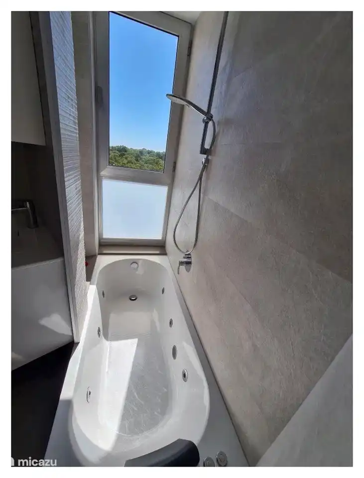 baignoire avec jacuzzi intégré et douche