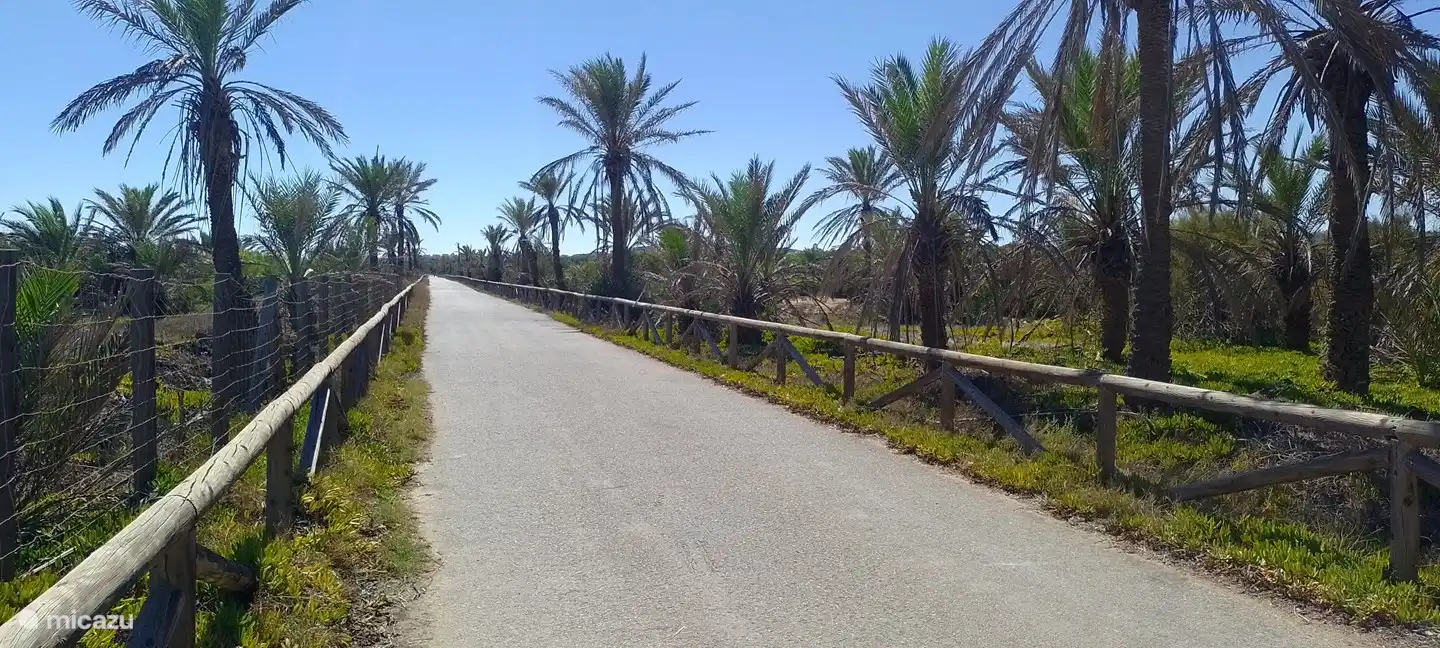 parque alfonso avec plusieurs entrées à la plage