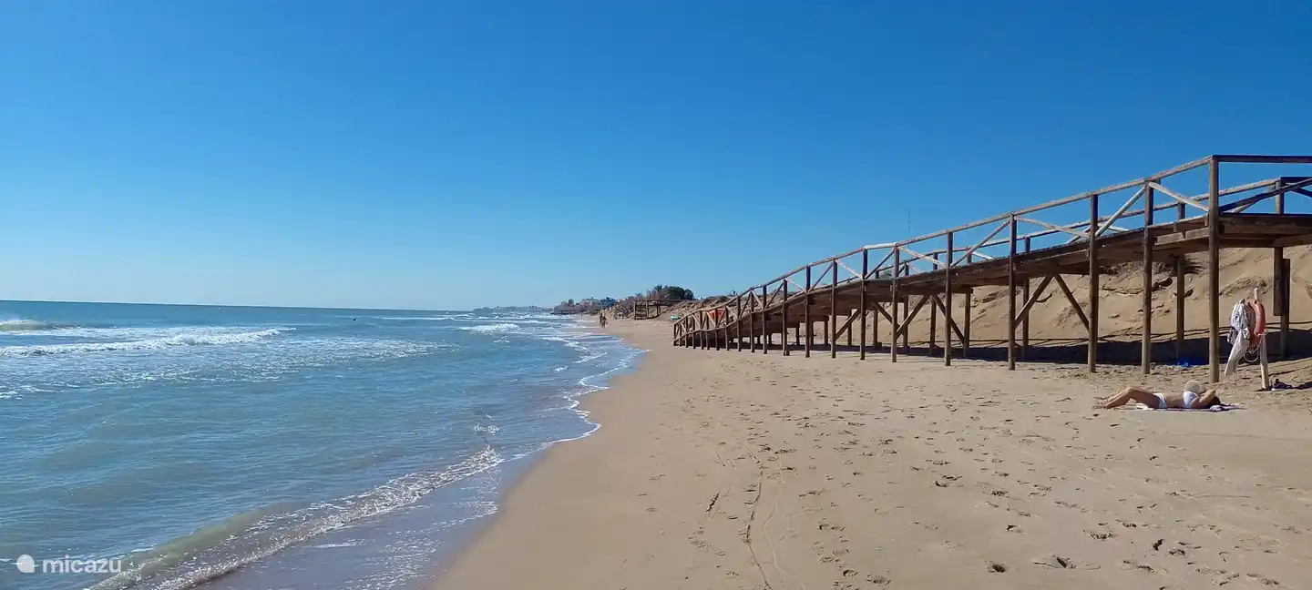 la plage tranquille peut être parcourue à travers la pinède en 15 minutes