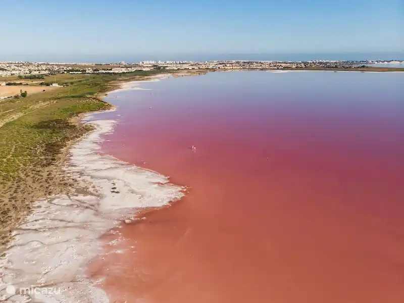 Lacs Salés Torrevieja-La Mata