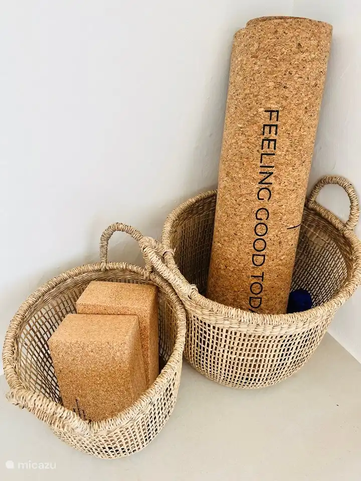 Yoga mat, blocks and resistance bands are ready to use. Namaste