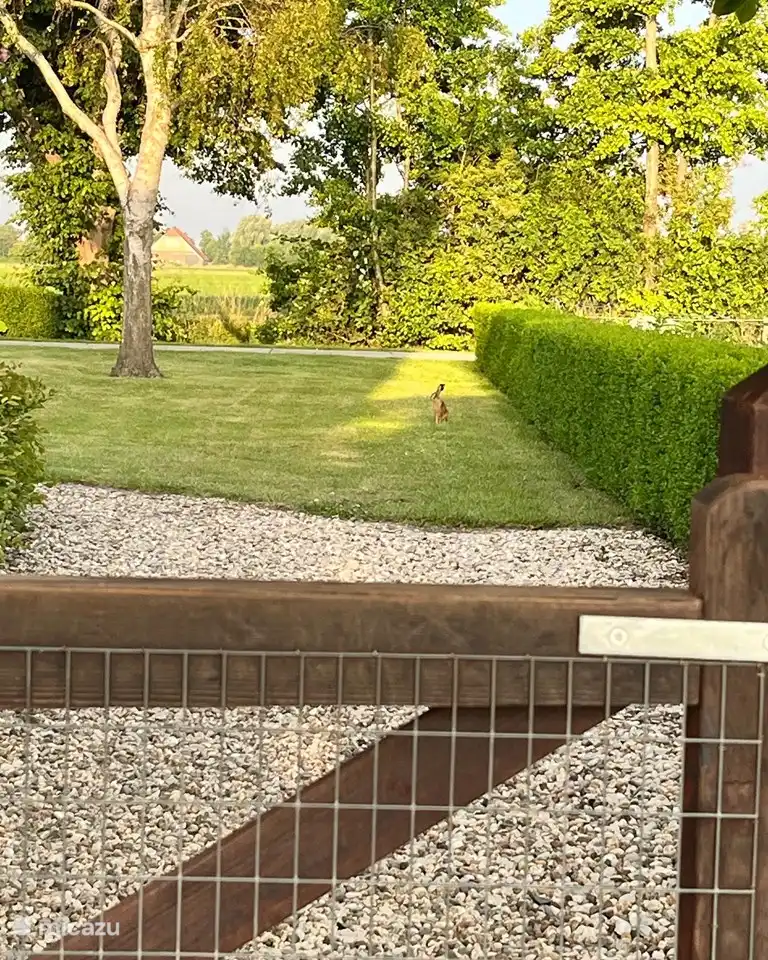 Im Hof oder auf der Wiese erwartet Sie regelmäßig ein Hase oder ein Fasan