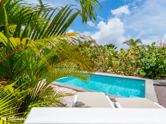 Kas Akwamarin *Beveiligd Resort* huren in Curaçao, Banda Abou (west), Fontein - vakantiehuis Geweldige plek bij het zwembad met veel privacy...
