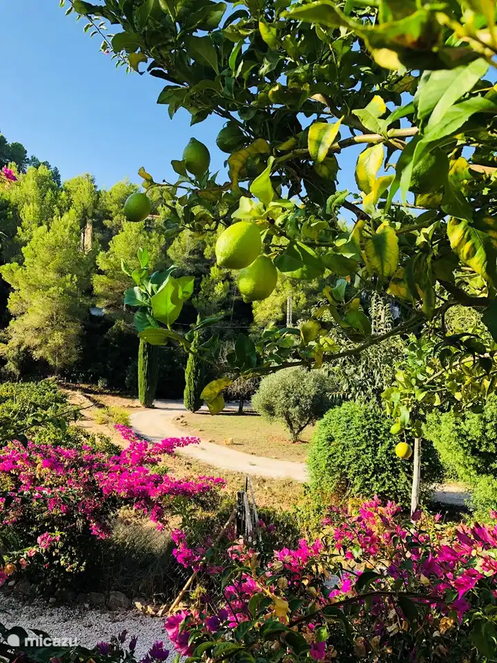 Genießen Sie die schöne Natur