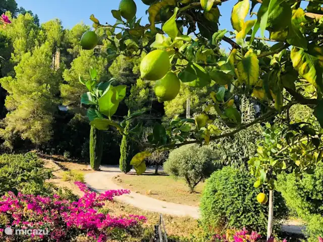 Villa Veni Vidi Vici, Luxe Finca huren in Spanje, Costa Blanca, Lliber - villa Geniet van de prachtige natuur