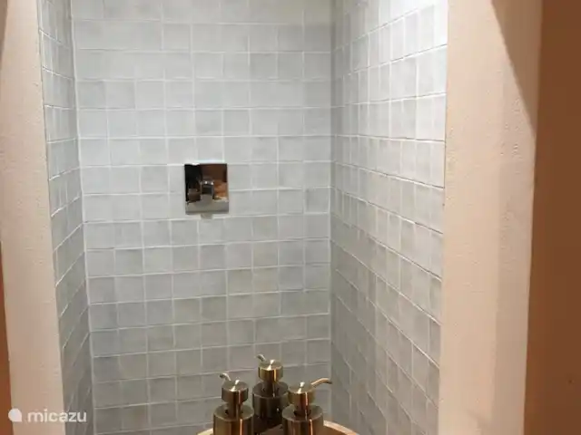 Villa Veni Vidi Vici, Luxe Finca huren in Spanje, Costa Blanca, Lliber - villa Spaanse tegeltjes in de douche voor de luxe details