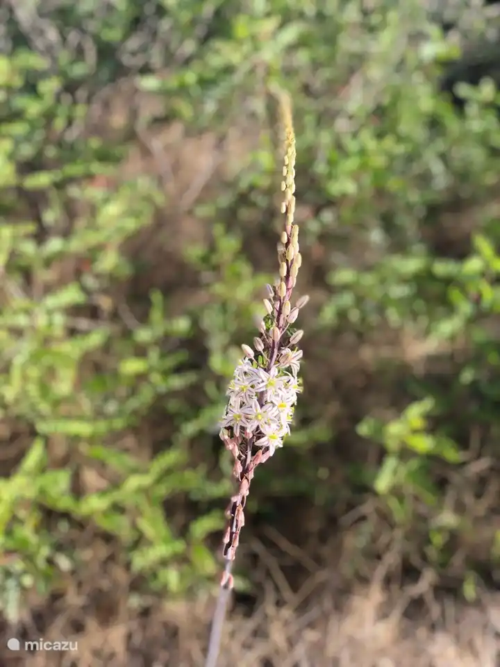 wunderschöne Natur in unmittelbarer Nähe