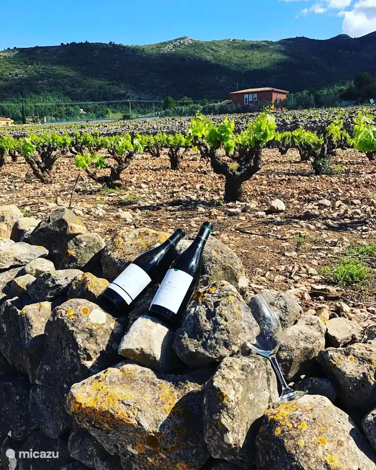 Weinprobe in unserem eigenen Dorf Lliber