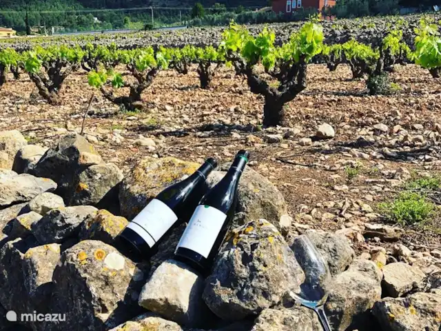 Villa Veni Vidi Vici, Luxe Finca huren in Spanje, Costa Blanca, Lliber - villa wijnproeverij in ons eigen dorpje Lliber