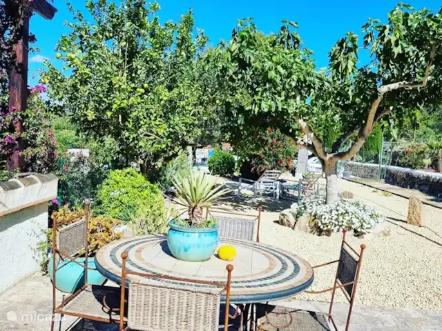 Villa Veni Vidi Vici, Luxe Finca huren in Spanje, Costa Blanca, Lliber - villa olijfbomen mogen niet ontbreken