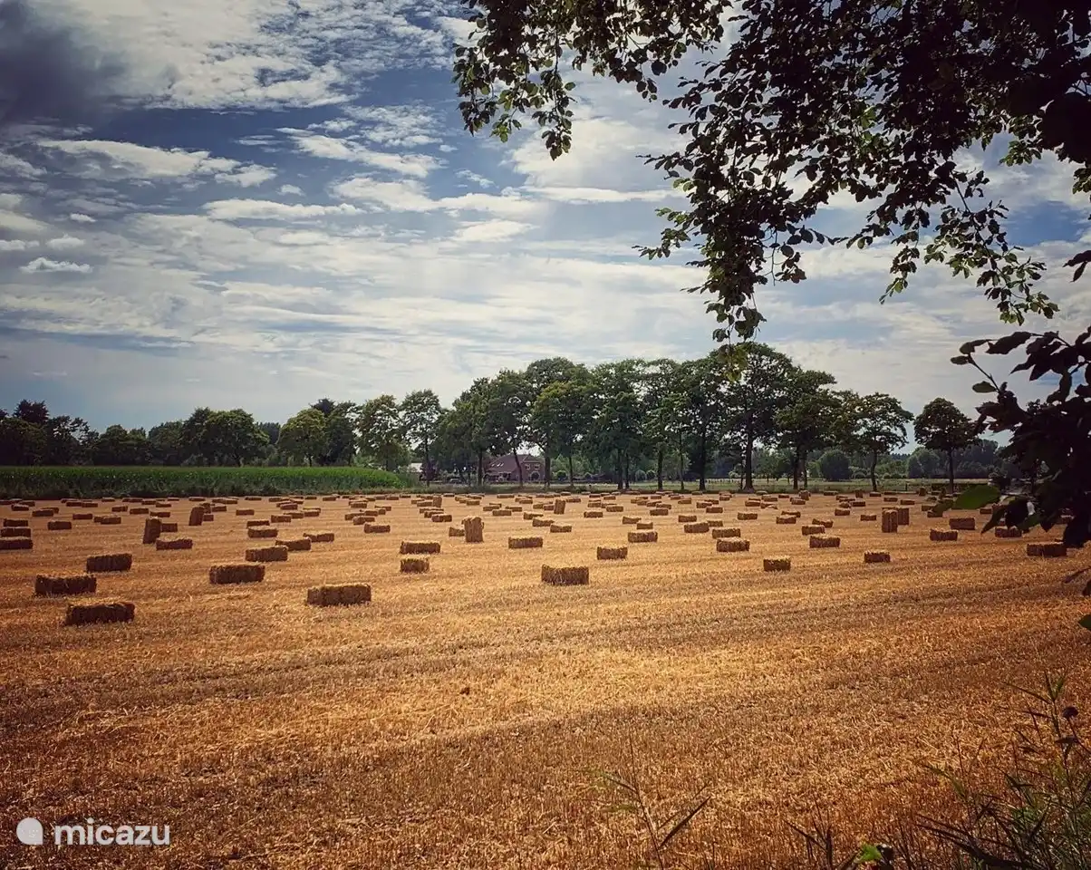 Die Nachbarn gegenüber