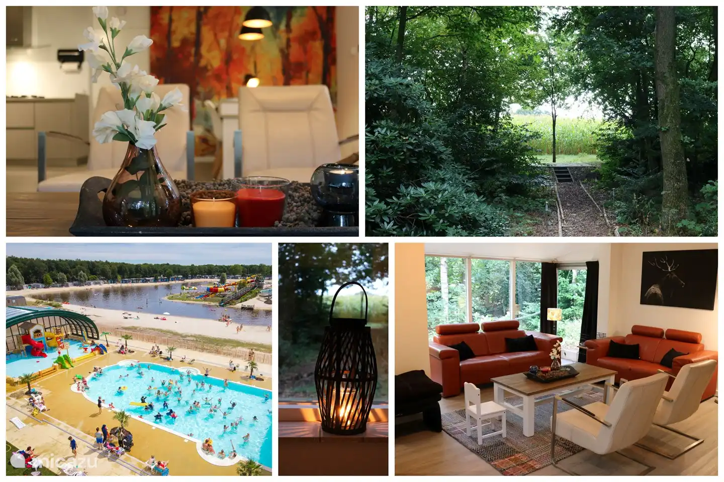 Bosvilla Tikva huren in Nederland, Overijssel, Rheezerveen - Vakantiehuis