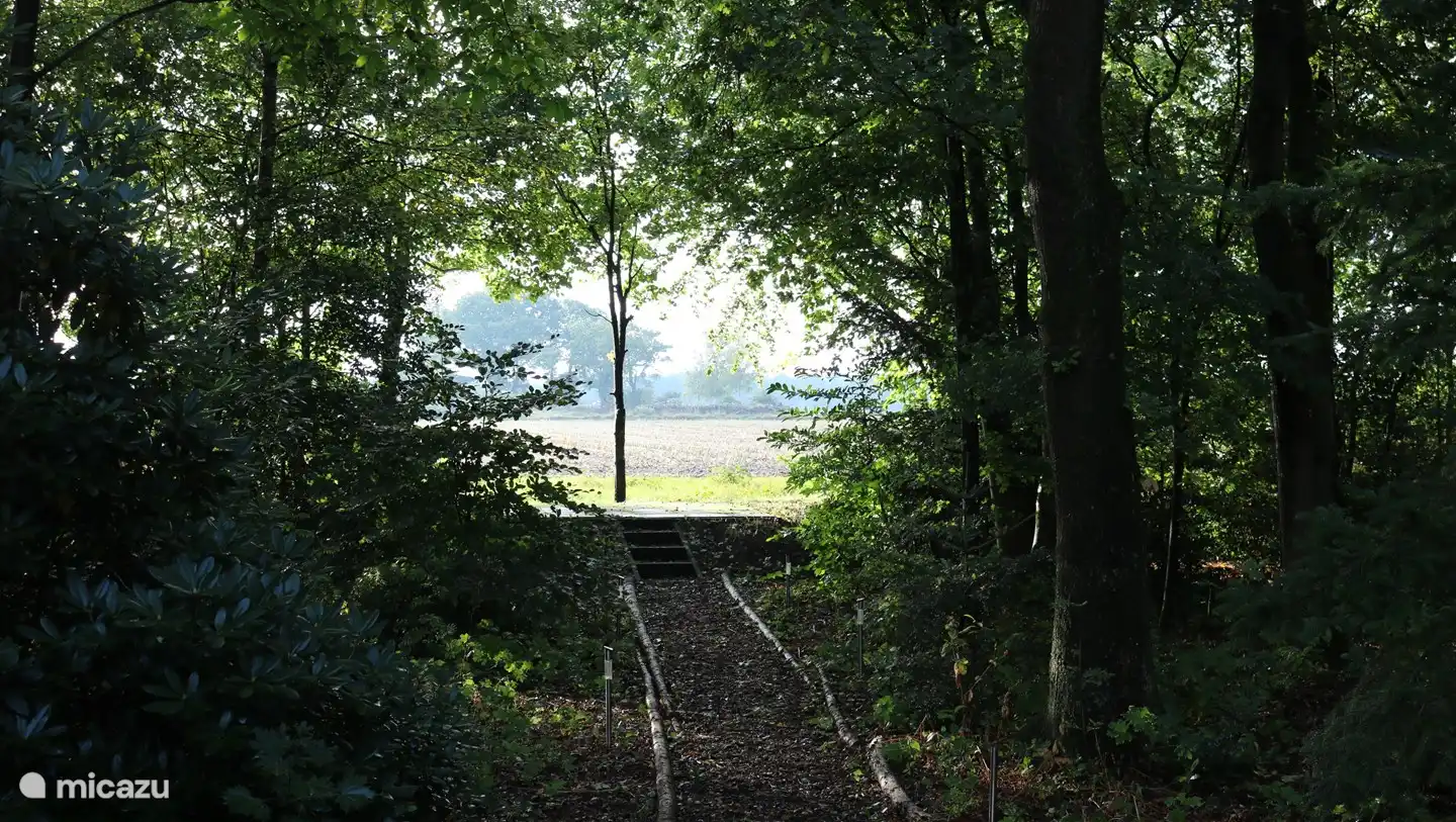 entre les arbres avec vue sur la campagne
