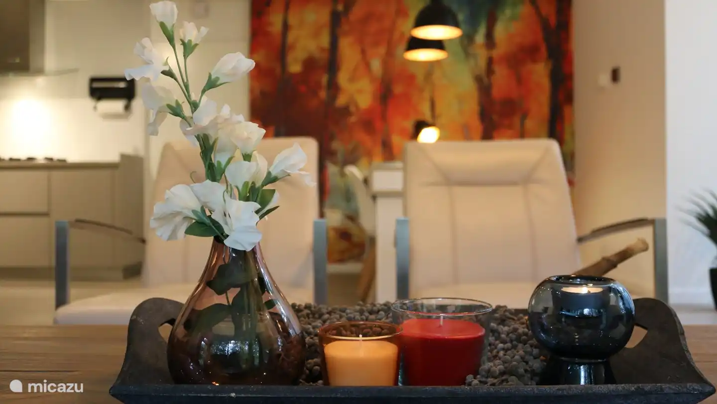 Bosvilla Tikva huren in Nederland, Overijssel, Rheezerveen - Vakantiehuis