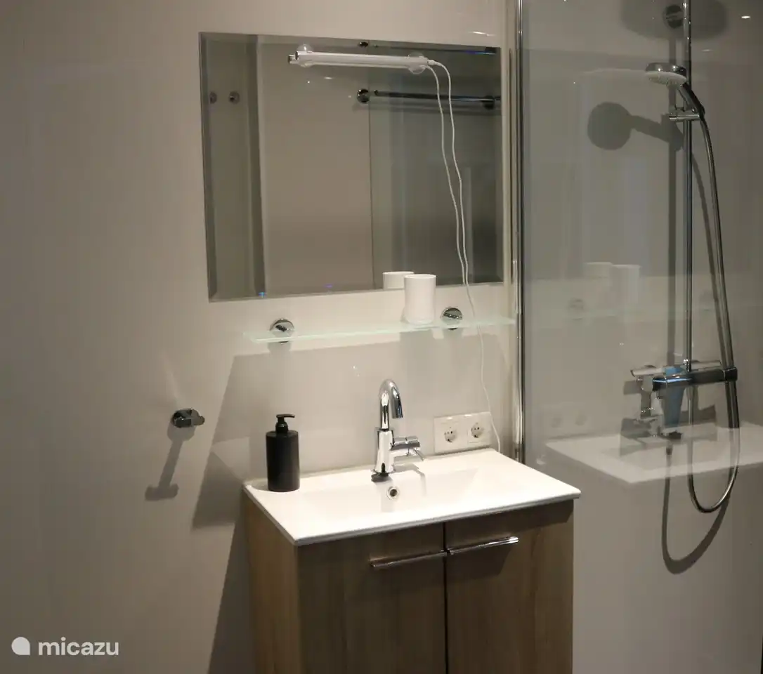 salle de bain avec douche pluie et machine à laver