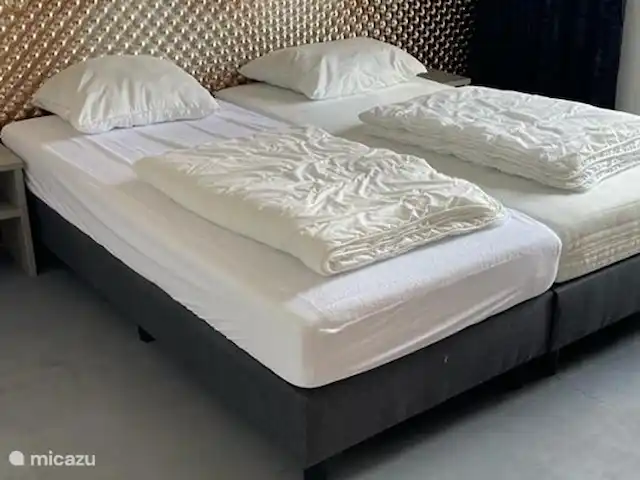 Casa Morrénic | Pays-Bas, Gueldre, Voorthuizen - villa Chambre à coucher. Tous les sommiers tapissiers ont des couettes simples et peuvent facilement être placés ensemble ou séparément. En option, le linge de lit peut être loué.