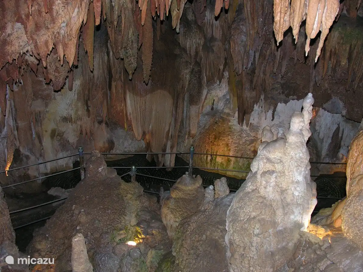 In het nationaal park Serras de Aire e de Candeeiros