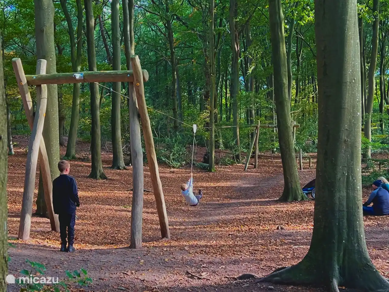 Playground equipment for the children in the forest