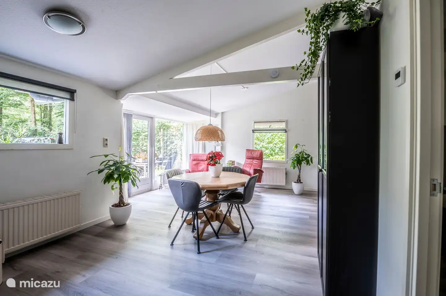 Bright beautiful living room