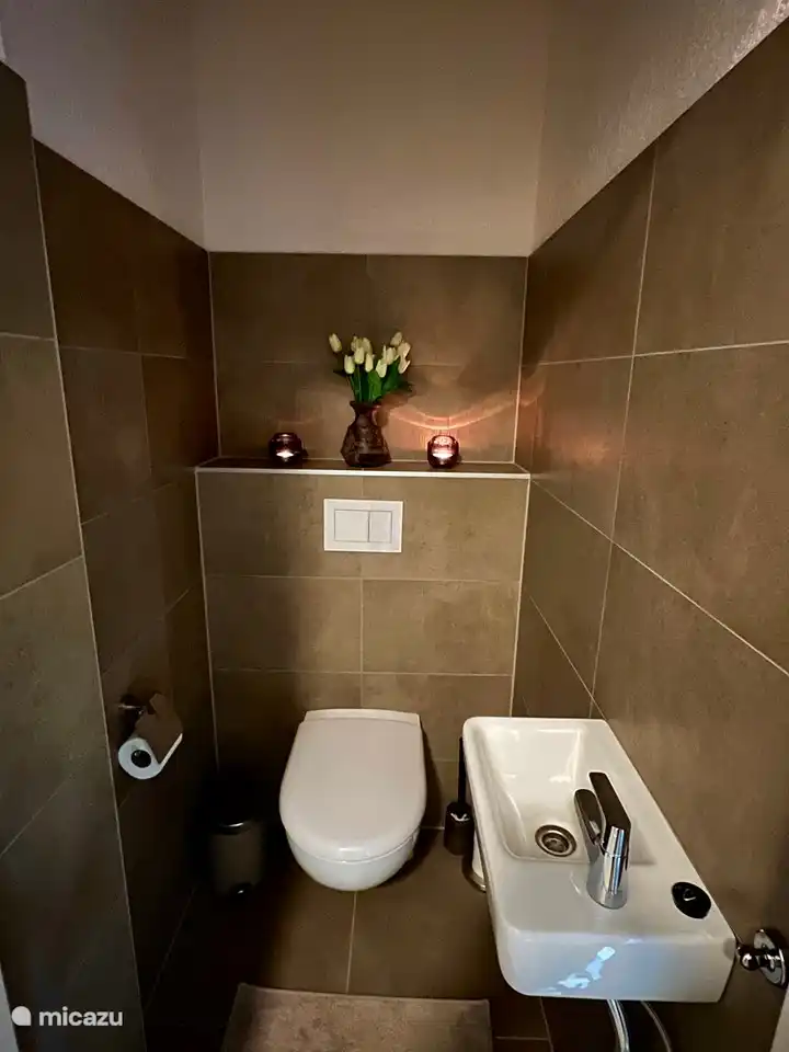 Separate luxury toilet