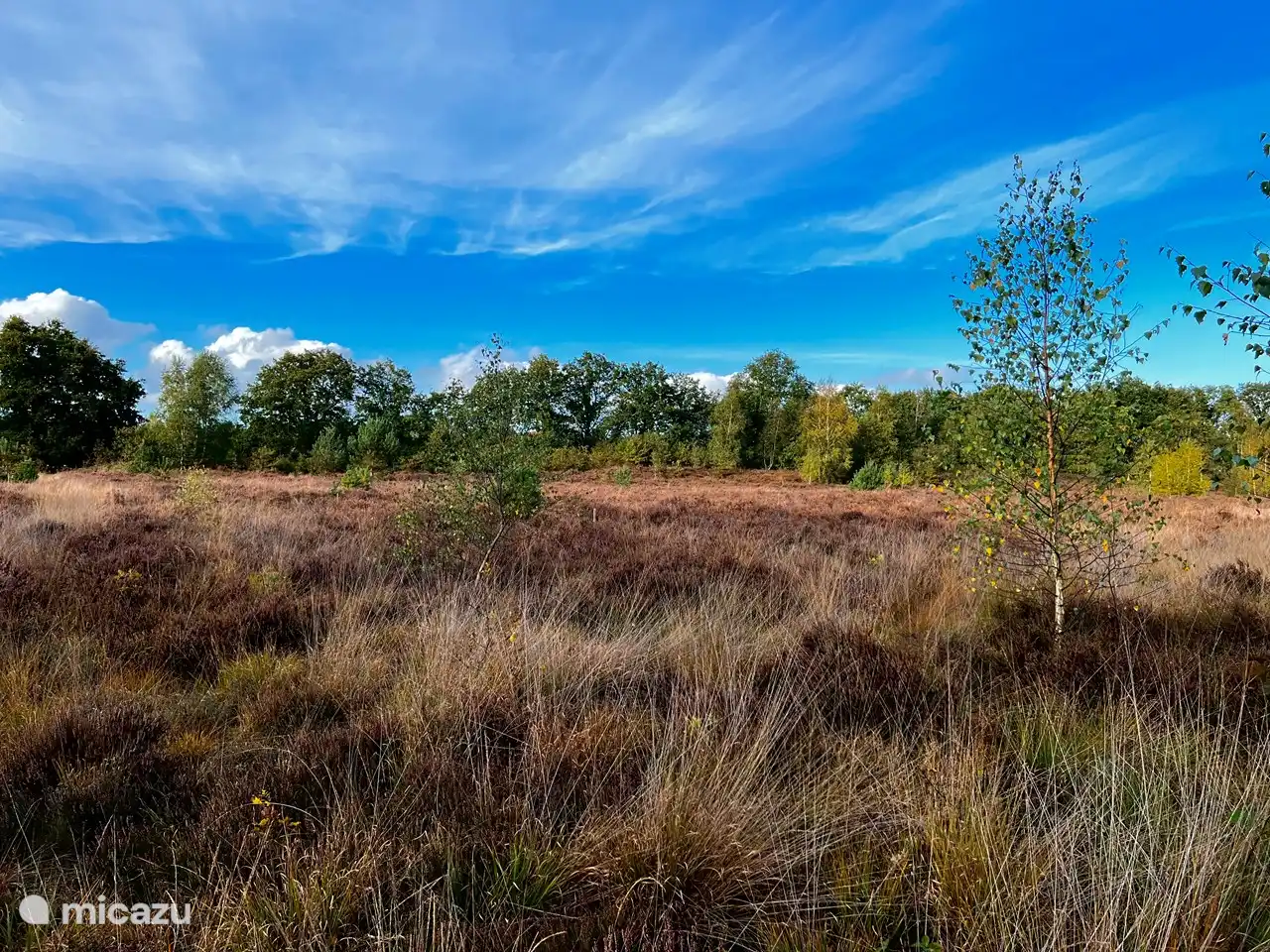 Beautiful heathland with walking routes 1 km away