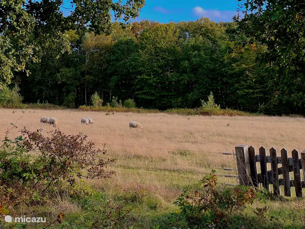 You can encounter all of this along the way. 1 km away