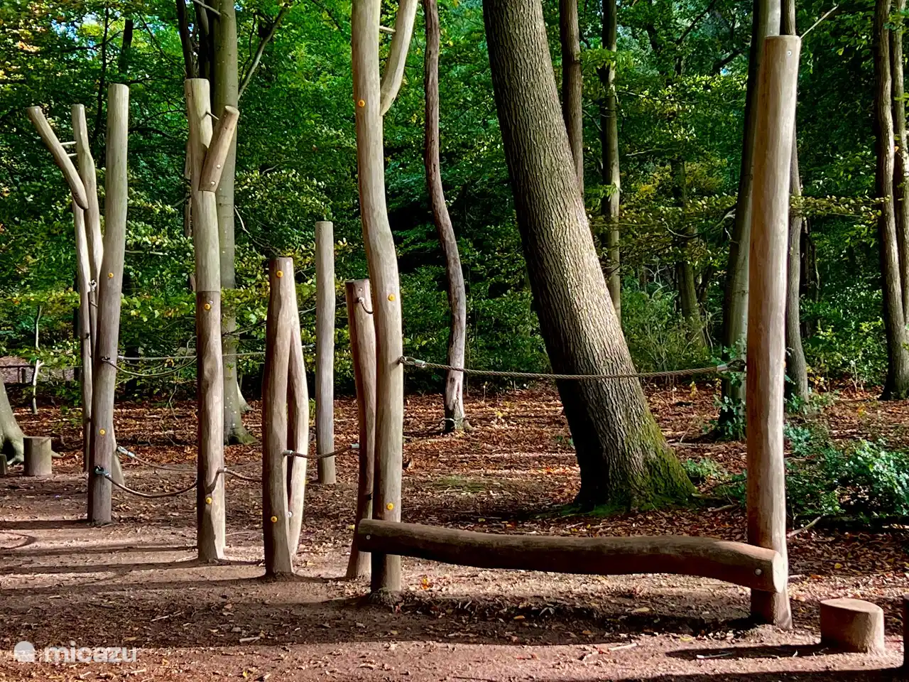 Playground equipment for the children in the forest you also have a beautiful route for the children. Saber-toothed tiger track Drenthe .NL