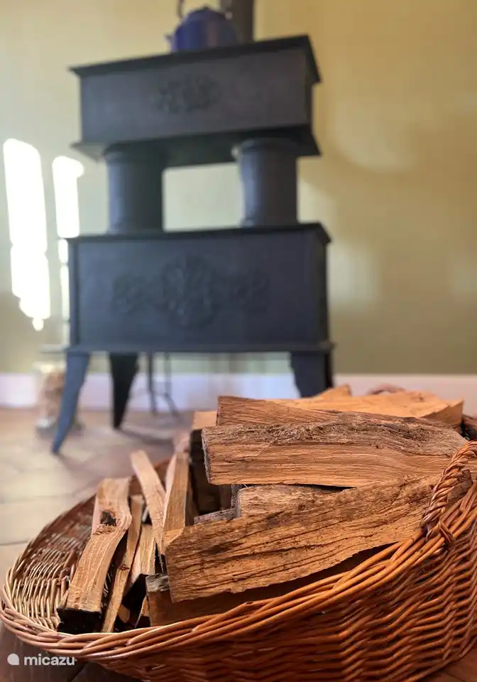 Photo de détail du poêle et du bois de chauffage