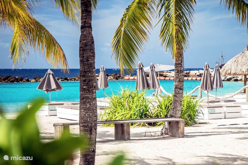 Vakantiehuis Curaçao, Curacao-Midden, Bottelier Geschakelde woning Casa Banana Holiday Home