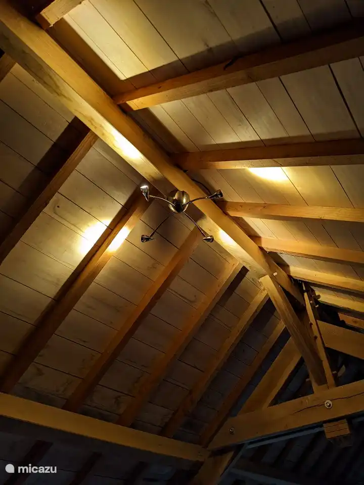 Het sfeervolle en robuuste dak.