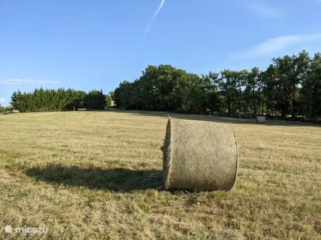 La Bergerie | France, Lot, Thédirac - maison de vacances Le fermier fauche notre pâturage et emporte le foin avec lui.