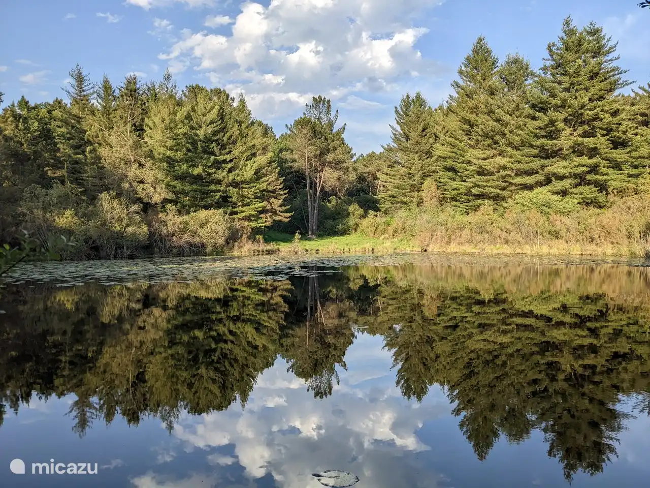 Wandelen in het natuurgebied de Frau