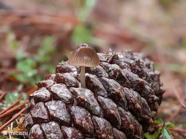 La Bergerie | France, Lot, Thédirac - maison de vacances L'automne s'appelle à juste titre la fin de l'été ici