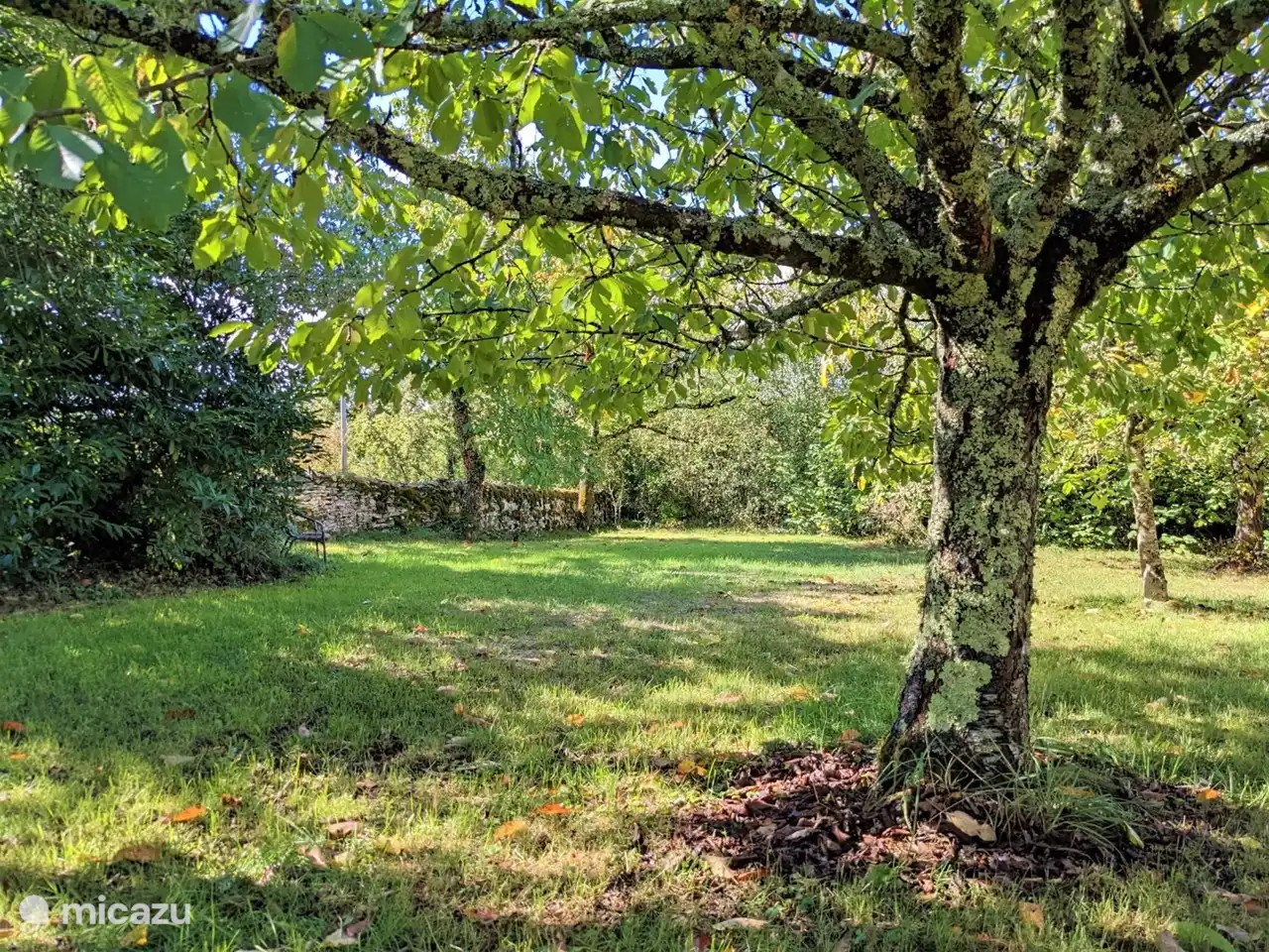 Autour de la maison, vous ne trouverez que la nature.