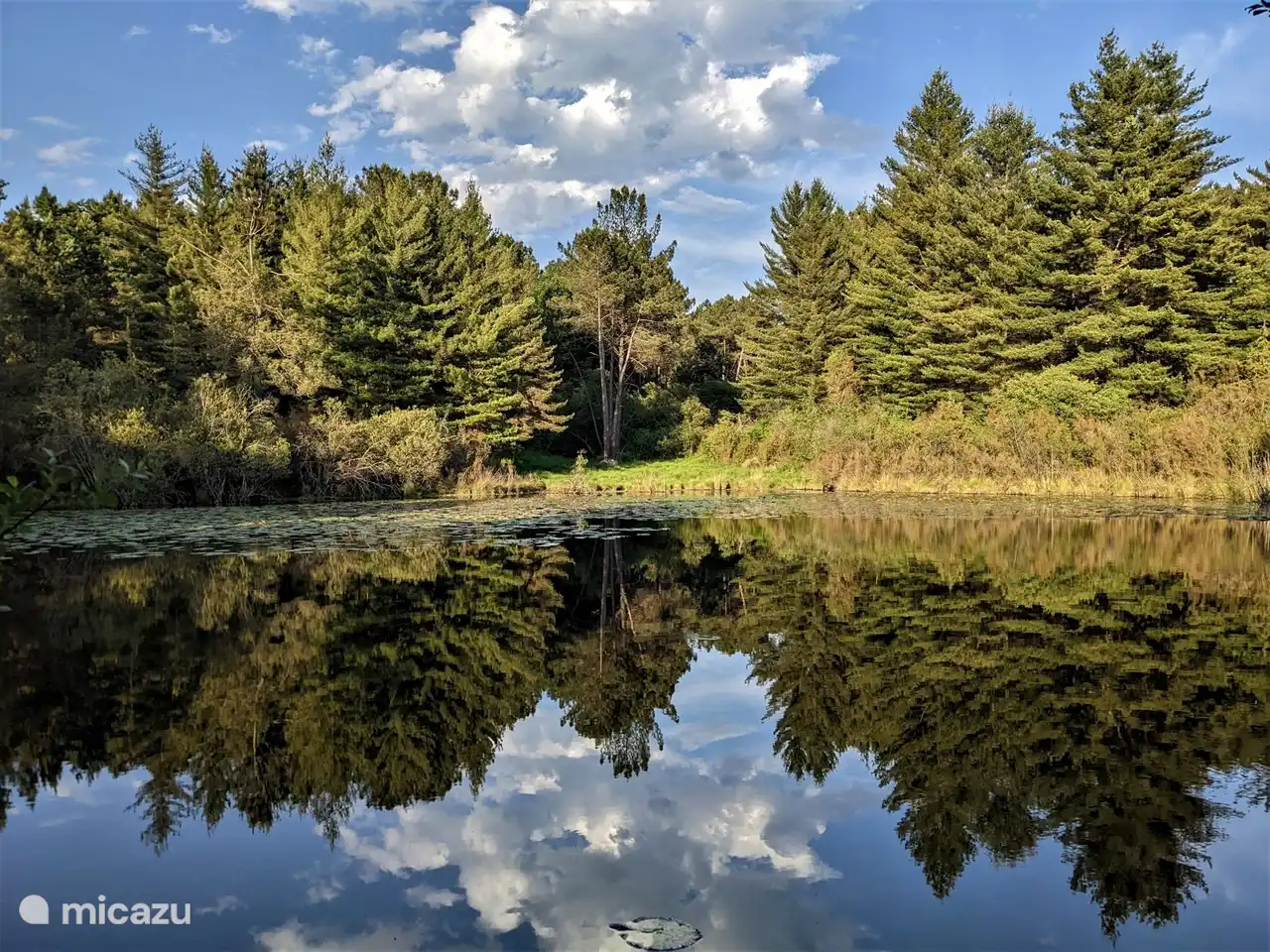 Walk from the house in the nearby area.