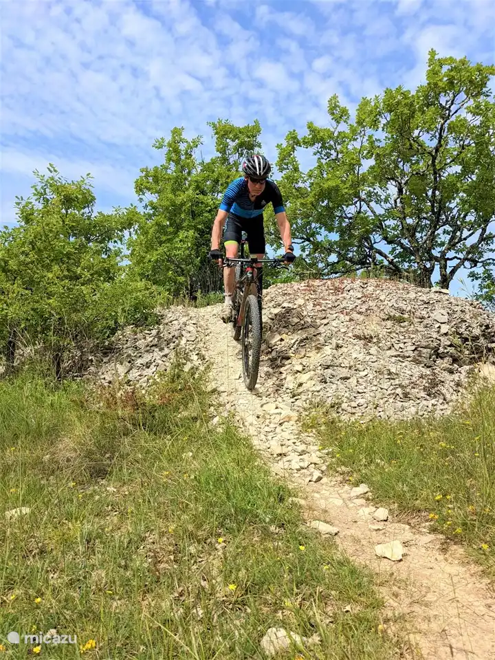 There is a lot to discover on the MTB, racing or electrically assisted bicycle.