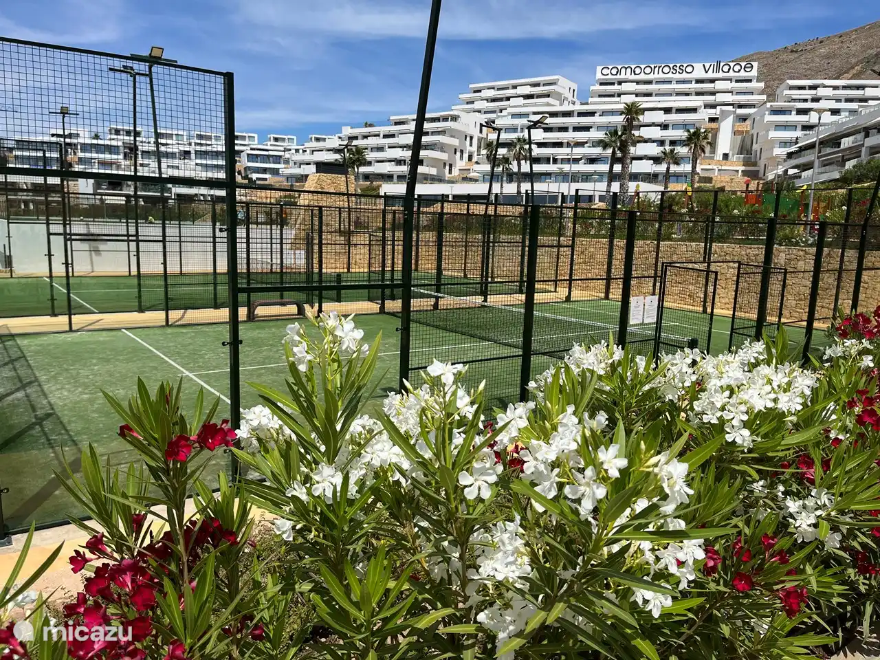 Padel