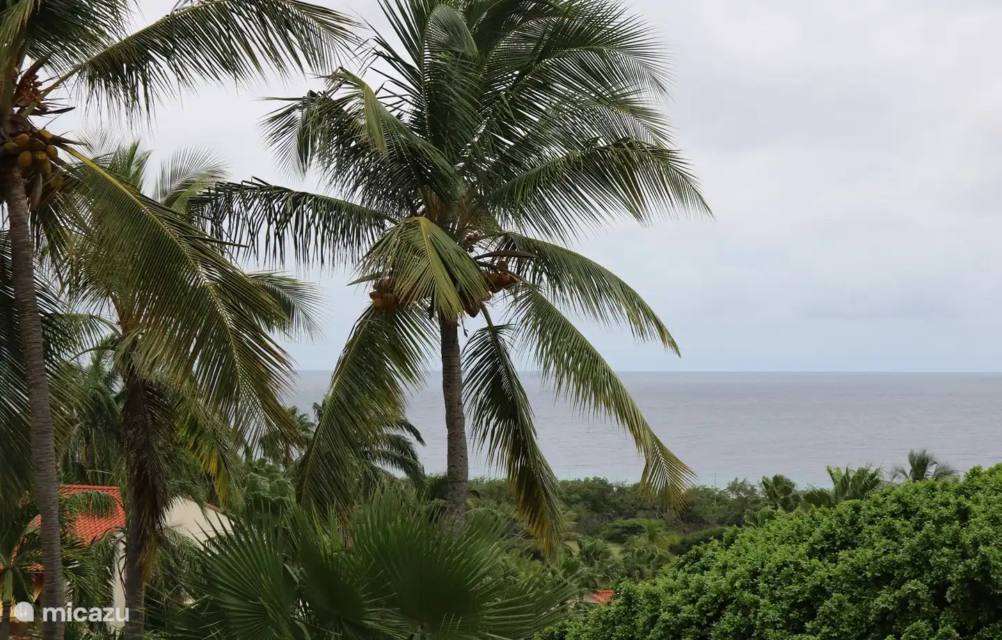 Blick auf das Karibische Meer mit Palmen