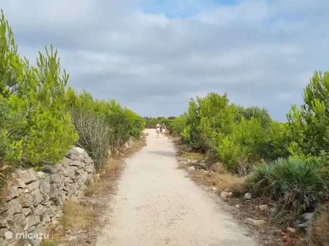 Appartement Casobel huren in Spanje, Costa Blanca, Jávea - appartement Javea Montgo