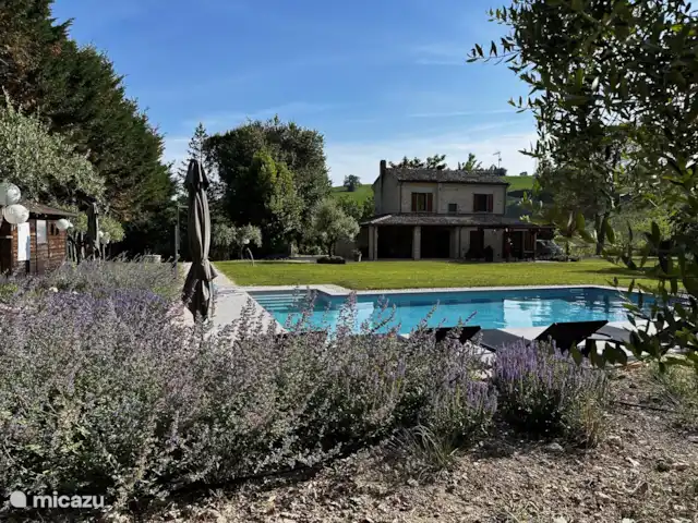Location de Vacances Italie, Marche, Serrungarina, maison de vacances - Maison de Picchio