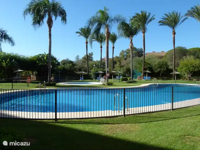 Location de Vacances Espagne, Costa del Sol, Marbella Elviria, appartement - Casa Joy Elviria, Marbella Piscine extérieure commune avec bassin pour enfants et surveillée (avril à septembre) dans un jardin tropical avec transats.