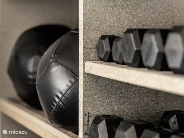 Mas Saint-Michel d'Euzet - Magnolia en Francia, Gard, Saint-Michel-d'Euzet - casa rural / cabaña Caja CrossFit