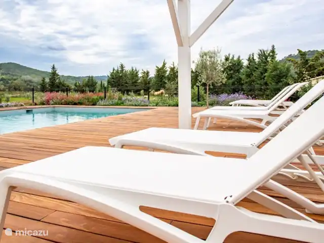 Mas Saint-Michel d'Euzet - Magnolia en Francia, Gard, Saint-Michel-d'Euzet - casa rural / cabaña piscina 1