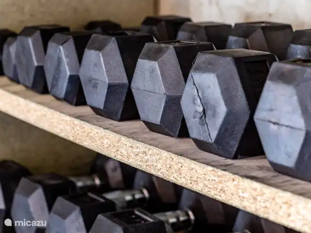 Mas Saint-Michel d'Euzet - Magnolia en Francia, Gard, Saint-Michel-d'Euzet - casa rural / cabaña caja crossfit