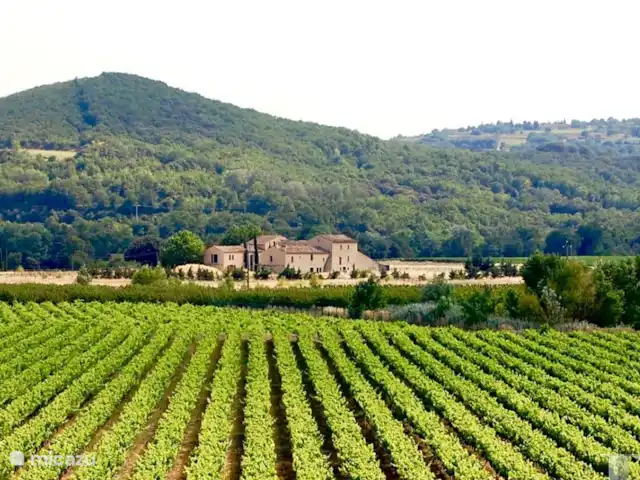 Mas Saint-Michel d'Euzet - Magnolia en Francia, Gard, Saint-Michel-d'Euzet - casa rural / cabaña el Mas de los viñedos