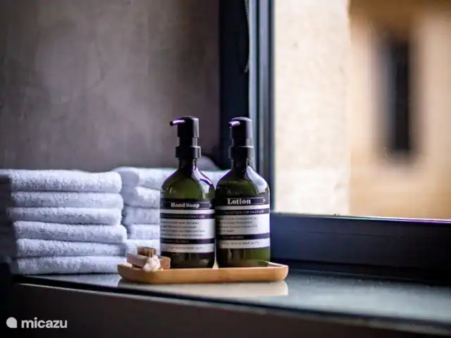 Mas Saint-Michel d'Euzet - Magnolia en Francia, Gard, Saint-Michel-d'Euzet - casa rural / cabaña Baño