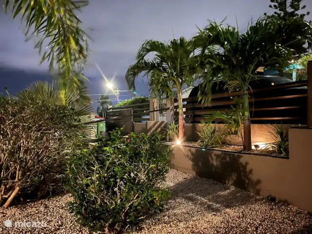 Villa Boomkip avec piscine privée | Curaçao, Banda Ariba (est), Janwe - maison de vacances Notre jardin le soir est joliment éclairé à certains endroits. Le déguster avec un verre de vin est certainement une option
