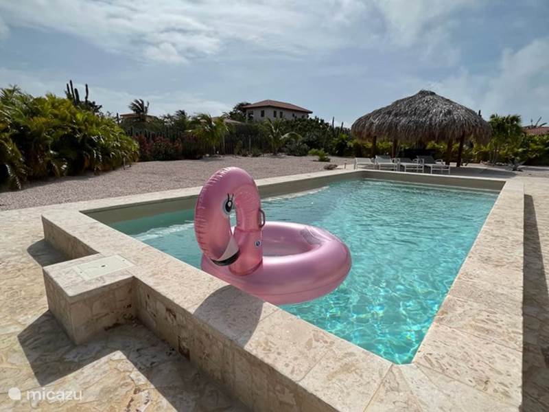 Maison de Vacances Bonaire, Bonaire, Belnem Villa Palm Villa