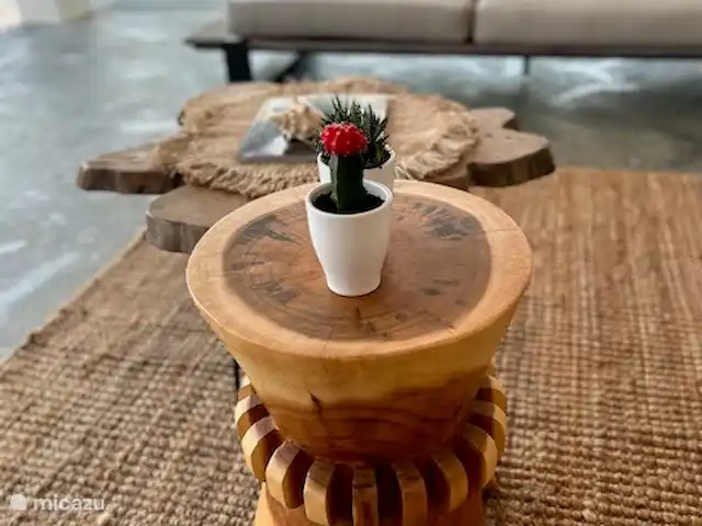 villa en Bonaire, Bonaire, Belnem – Villa Palma